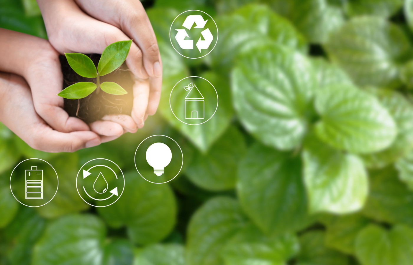 Sustainability (ESG) Vs. Corporate Social Responsibility (CSR)